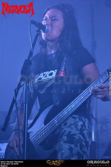 Congregation Fest 8