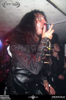 Metal de la Casa II